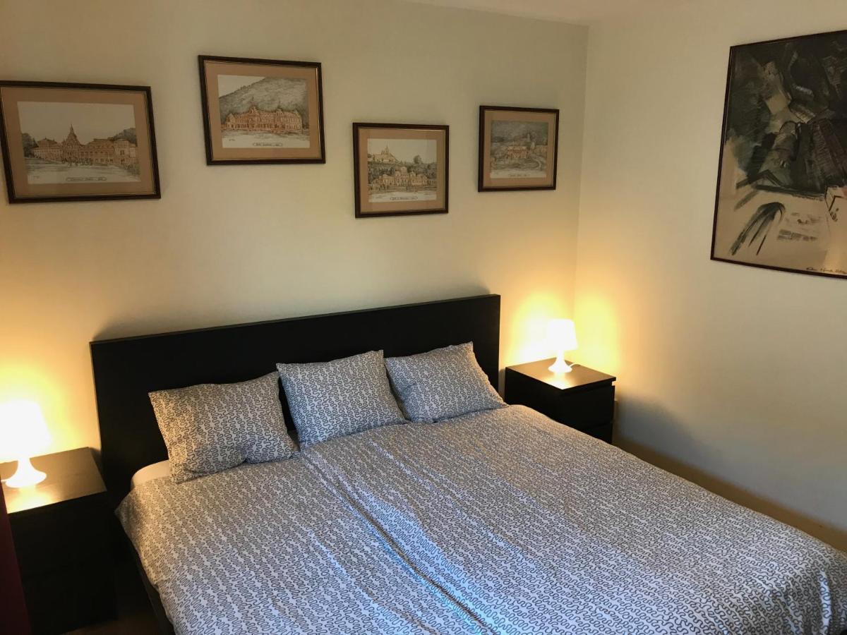 Lovely & Cozy Apartment シナヤ エクステリア 写真