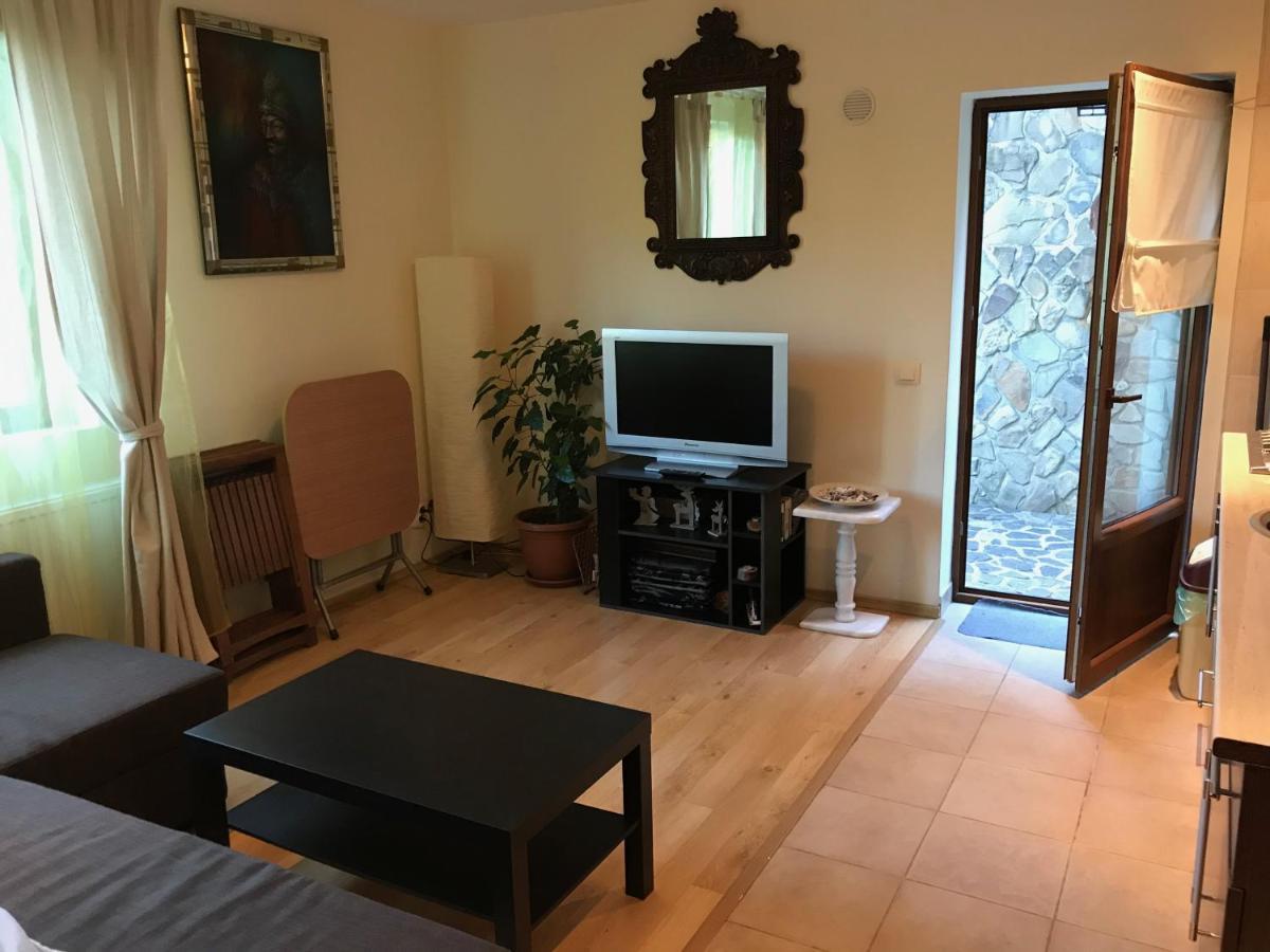 Lovely & Cozy Apartment シナヤ エクステリア 写真