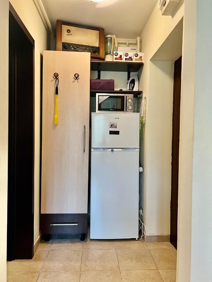 Lovely & Cozy Apartment シナヤ エクステリア 写真